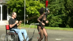 Pony Carting - 2011 style [Eng]