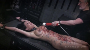 Hard bondage, torture and strappado for naked models [2021,BDSM][Eng]