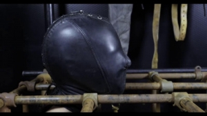 Hard bondage, strappado and torture for hot slut part 2 [2021,BDSM][Eng]