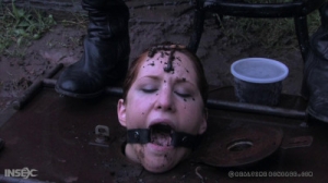 Calico [BDSM,BDSM][Eng]