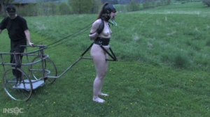 Anna Rose - Pony Rides [BDSM][Eng]