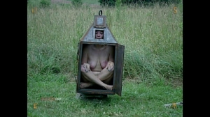 Evil Box 1 naked body [BDSM,Spacegirl,animal fear ,moment ,door shut ][Eng]