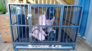 Cage Time With Greyhound [BDSM Latex][Eng]