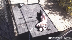 Outside HogTie [BDSM][Eng]