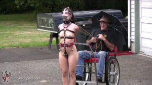 Elise the Prancing Pony [BDSM][Eng]