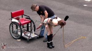 The Cart and the Crook-Lock system [BDSM][Eng]