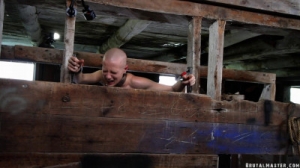 Greyhound Cow Stall Beating [BDSM][Eng]