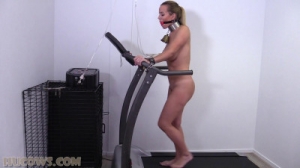 Cindy Dollar - Treadmill Hopping [BDSM,Cindy Dollar,BDSM,Torture][Eng]