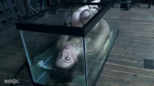 I will put the amphibian in the aquarium [2022,BDSM,Kate Kennedy,Torture,BDSM,Whipping][Eng]