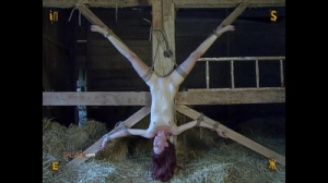 Farm part 4 [2021,BDSM,Humiliation,Whipping,Torture][Eng]
