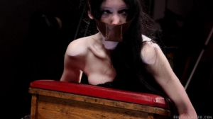 Wednesdays Asmodeus Bites [BDSM][Eng]