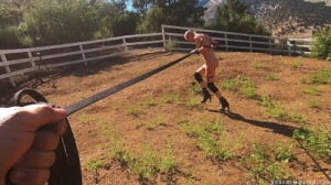 Greyhounds Brutal Pony Training [BDSM][Eng]