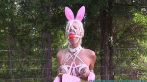 Foxx to Bunny Transformation part 2 [BDSM][Eng]