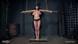 Foxy Jesus [2021,BDSM,Humilation,BDSM,Tits torture][Eng]