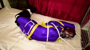 ShinyBound - Sarah Brooke Batgirl [BDSM][Eng]