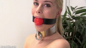 Self Ball Gagged [2019,BDSM,Cuffed,Bondage,Tied][Eng]