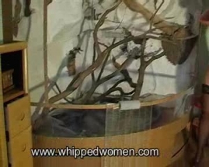 Whippedwomen- 2luis176