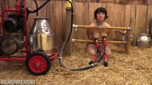 Kiki - oral training and red cow milker new bdsm porn videos