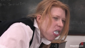 WhippedAss  -Daphne Rosen, Cherry Torn, Madison Young-Teacher's Pet new bdsm porn videos