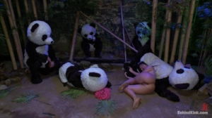 Panda Gangbang [BDSM,Princess Donna Dolore,masturbation ,Gangbang ,slim ][Eng]