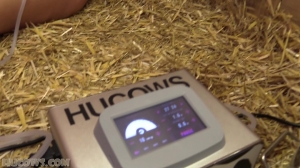 HuCows - Denise - Testing The New Machine [hardcore bdsm porno videos]