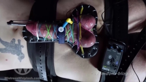 Mistress Nikki Whiplash - Bound Cock Shocked WL1665 [female domination online steamy porn]