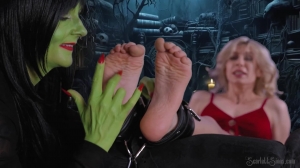 ScarlettSinnsTwistedFetishes – Lair of the Tickle Witch ScarlettSinnsTwistedFetishes – Lair of the Tickle Witch
