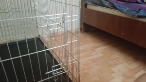 Dominatrix Nika - Your Place is in the Cage unless I Fuck you in the Ass Dominatrix Nika - Your Place is in the Cage unless I Fuck you in the Ass