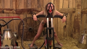 Lucy Lauren - Please Not The Red Machine