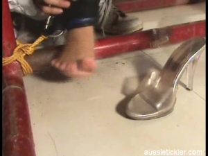 AussieTicklers – tic-vid0276