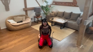 Lady Nikita - Dog Training And Boot Domination