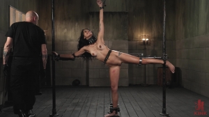 Harley Haze - Stress Positions