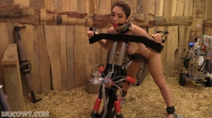 Alba Zevon - Milking Stocks