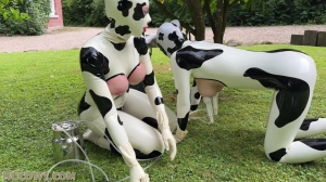HuCows - Anc1lla And Miss Fetilicious - Latex Hucows Outdoors