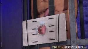 Cruel Amazons - Mistress Lauras CBT Game Cruel Amazons - Mistress Lauras CBT Game