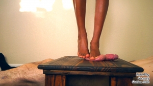GoddessWilde - Foot Crush Frenzy