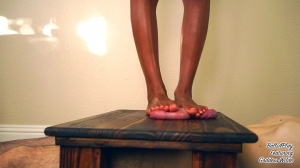 GoddessWilde - Foot Crush Frenzy