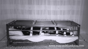 TeaseandThankYou - Lucid Dreaming - Good Morning Goddess-Femdom