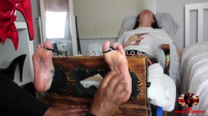 TheTickleContest – Tickling Goddess Leyla IN THE STOCKS! Part 1-mf, Tickling Feet