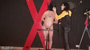 Miss Lith Domina - New CBT Furniture - Ball Abuse-BallAbuse