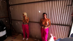 Fancy Steel - The Farm