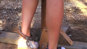 Fancy Steel - The Farm