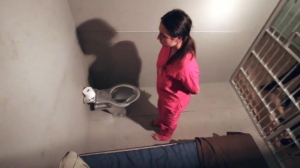 Fancy Steel - The Farm