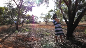 Fancy Steel - The Farm