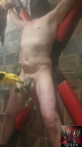 Queen Of CBT - Goddess Kimberley - Merciless Mistress Hardcore Cbt Ballbusting-BallAbuse