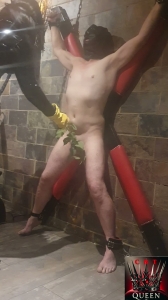 Queen Of CBT - Goddess Kimberley - Merciless Mistress Hardcore Cbt Ballbusting-BallAbuse
