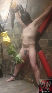 Queen Of CBT - Goddess Kimberley - Merciless Mistress Hardcore Cbt Ballbusting-BallAbuse