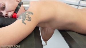 Darina - udder stretching