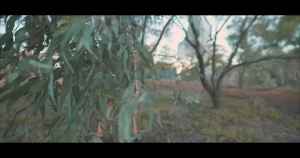 Fancy Steel - Missing in Action