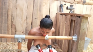 Calisa Bliss - curious